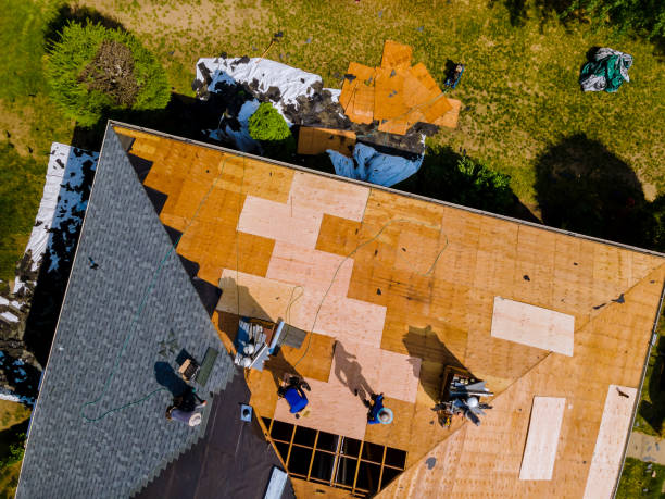 Best Flat Roof Repair Services  in Pinckneyvle, IL