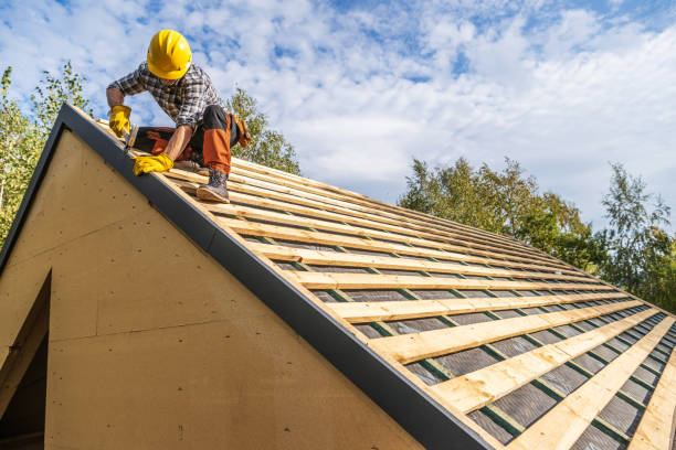 Best New Roof Installation  in Pinckneyvle, IL