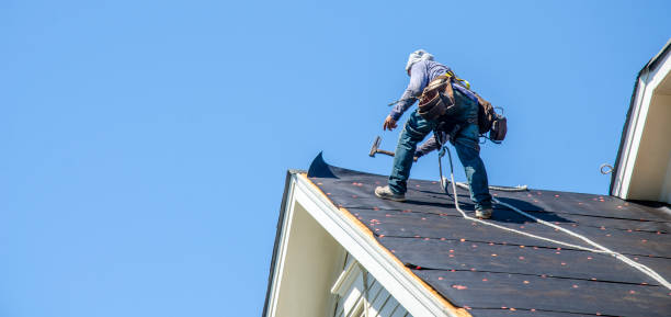Best Local Roofing Companies  in Pinckneyvle, IL